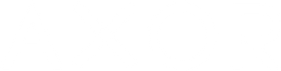 AXOR logo